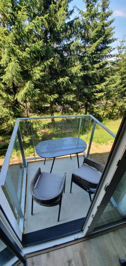 Apartman Nerudovka D 104, Finska Sauna, Garazove Stani Loucna pod Klinovcem Exterior photo